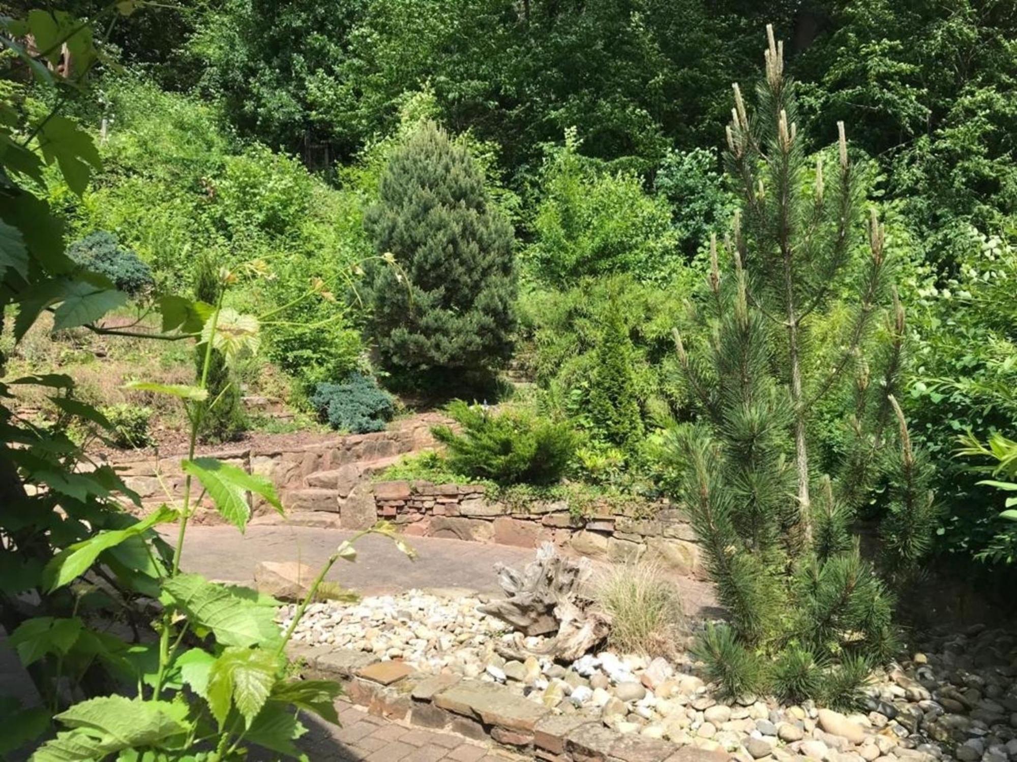 Naturhaeuschen Mit Kamin - Feuerschale - Garten - Mit Beheizbarem Gartenwhirlpool Vila Melsungen Exterior foto